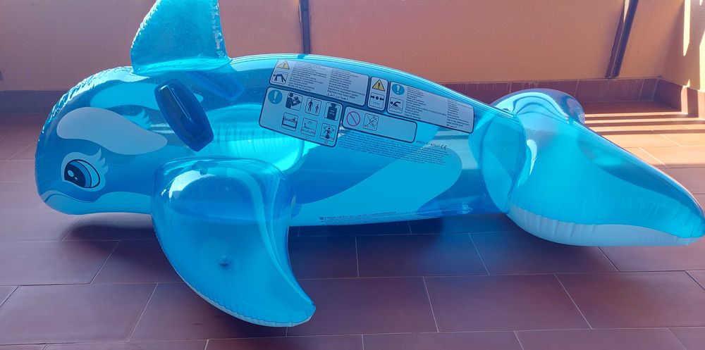 Golfinho insuflável
