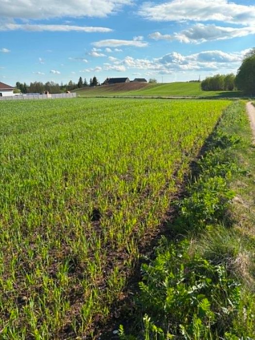 Okuniowiec - działki budowlane blisko Suwałk - Vista 3