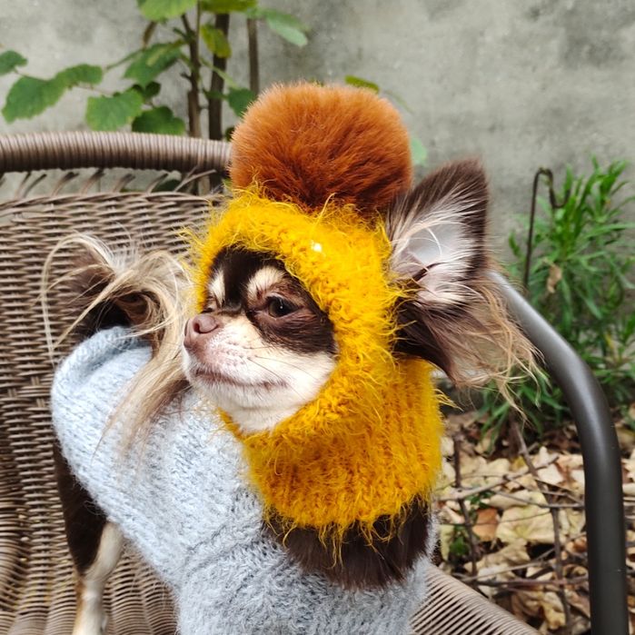 Комплект Шапка і шарф