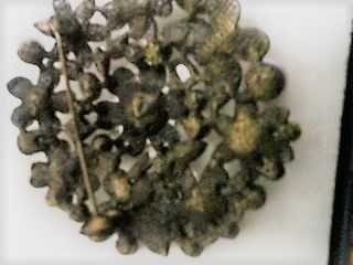 O mais belo bouquet de flores