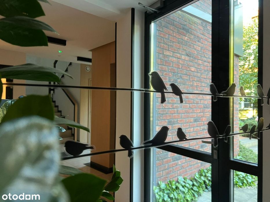 Na wynajem apartament typu studio z ogródkiem - Gdańsk Oliwa - Widok 6