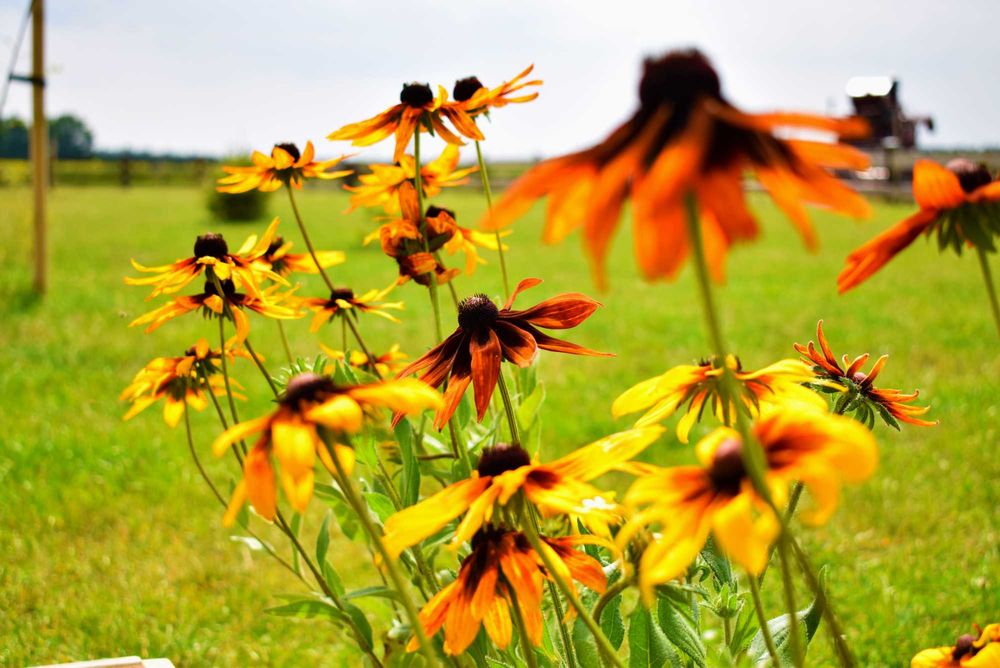 Agroturystyka -noclegi domek alpejski basen sauna balia natura zagroda