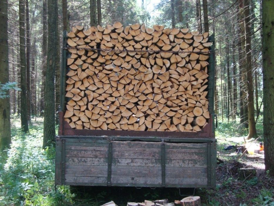 Доставим, выгрузим, занесем- дрова колотые, чурками, метражом.