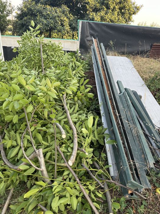 Vendo caleiros verdes
