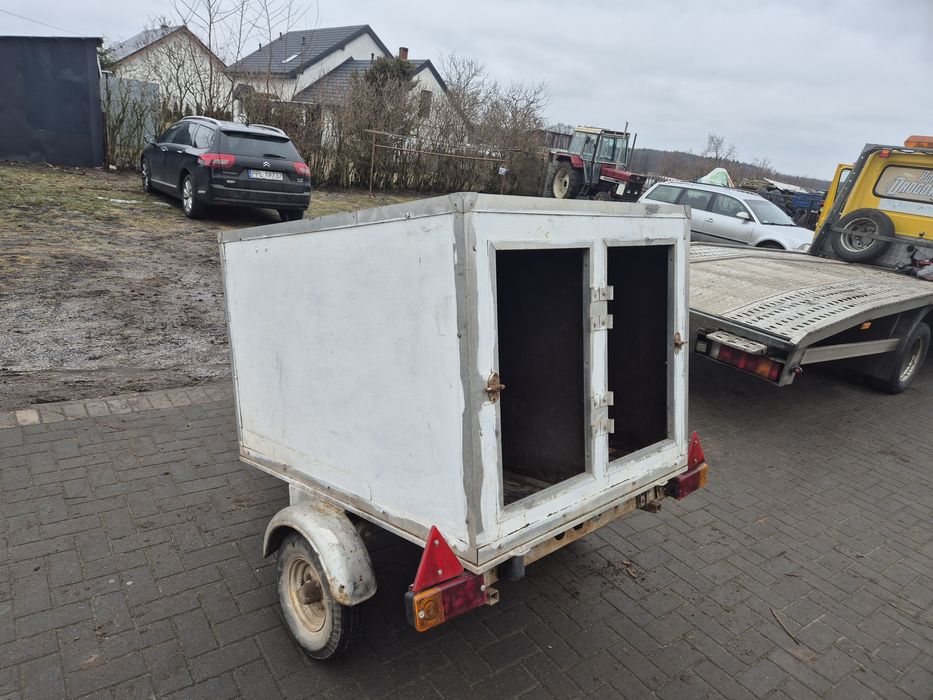 Przyczepka samochodowa do przewozu 2 psów