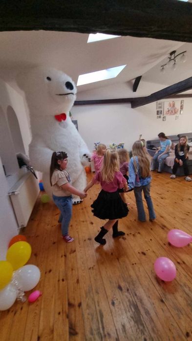 Biały miś na imprezy