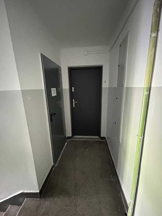 Wynajmę przestronne mieszkanie ,po remoncie 48m2 Wysoki parter .
