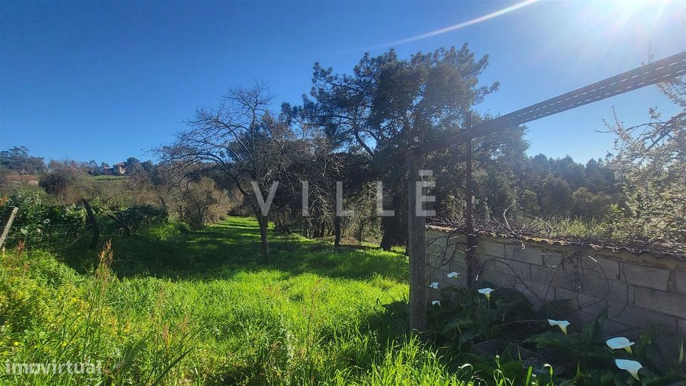 Terreno  Venda em Préstimo e Macieira de Alcoba,Águeda