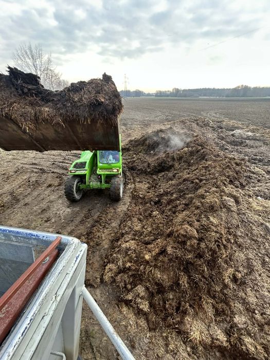 Kurzak, pomiot kurzy, obornik kurzy, obornik bydlęcy