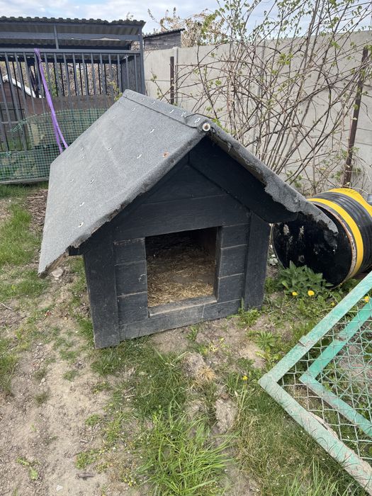 Sprzedam dużą budę dla psa wykonaną z solidnych materiałów