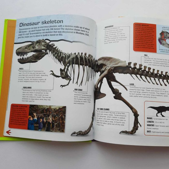 Книга конструктор Make Your Own T-Rex Собери своего Т-Рекса 70см