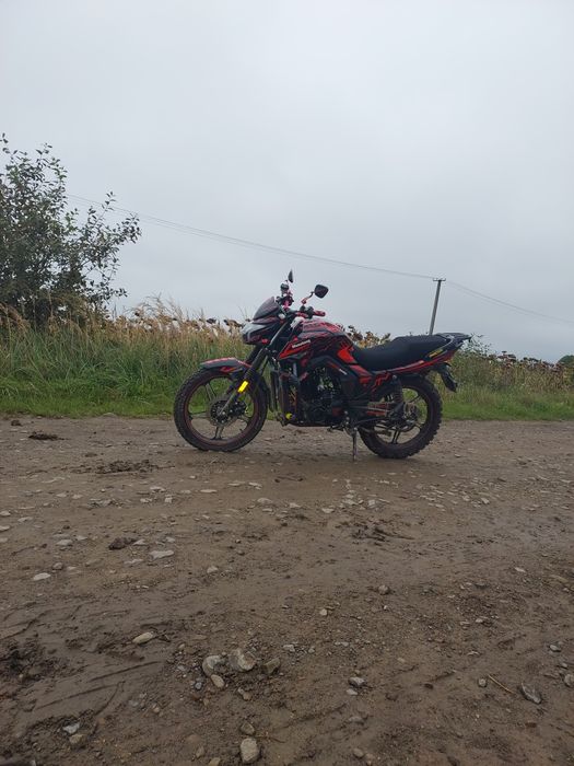 Продам мустанг регіон мт250