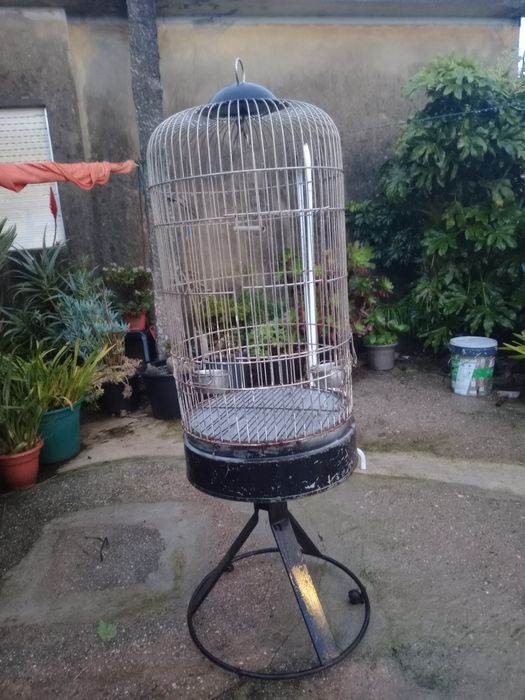 Gaiola de papagaio