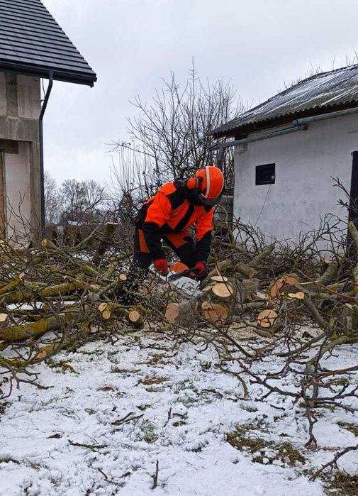 Wycinka drzew / Pielęgnacja / Arborystyka - Lublin / woj. lubleskie
