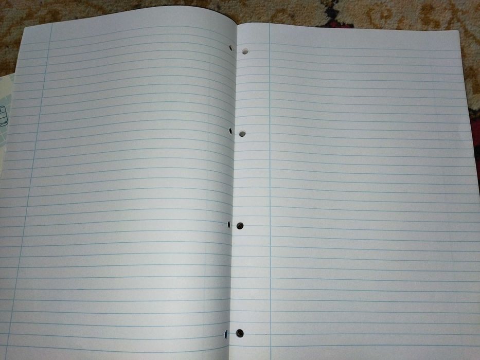 Блокнот Зошит A4 Office Essentials 100 аркушів