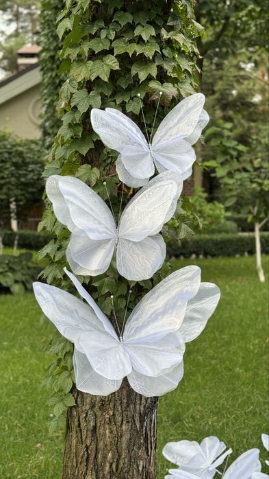 Метелики із органзи