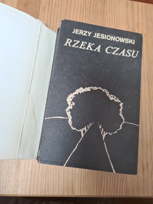 Rzeka czasu - Jerzy Jesionowski