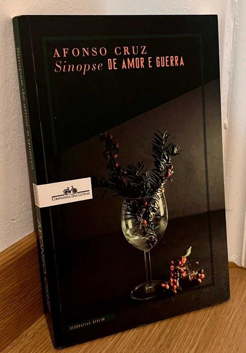 Afonso Cruz - Sinopse Amor Guerra (Portes grátis)