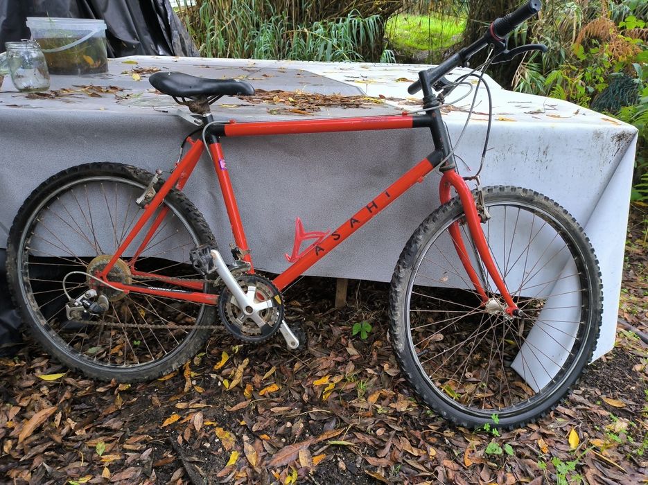 Bicicleta montanha roda 26