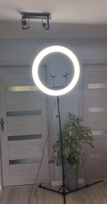 Profesjonalny ring ML25 64cm