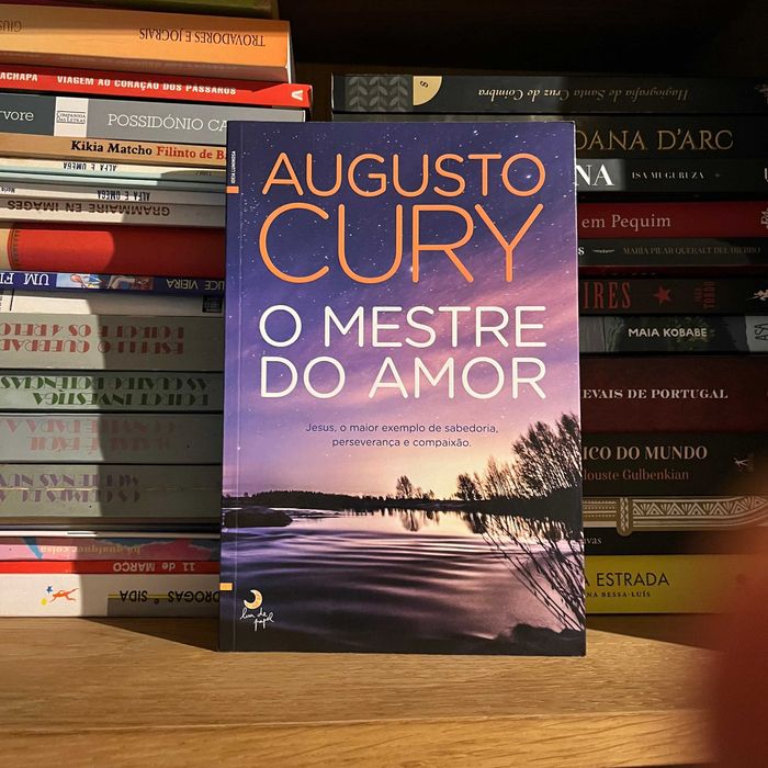 Augusto Cury - The Master of Love (free shipping)64585809972993120