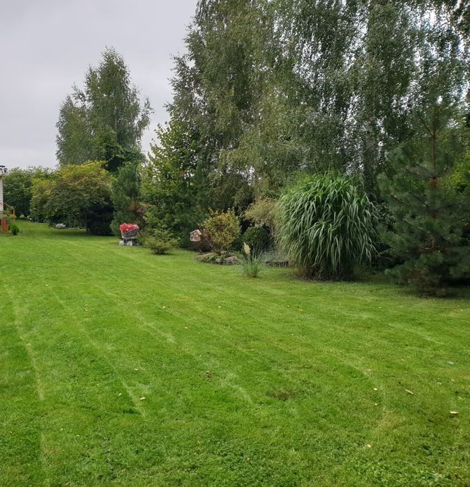 Działka pierwsza linia brzegowa Leśniewo - Widok 3