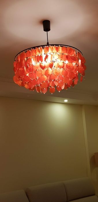 Candeeiro Gato Preto