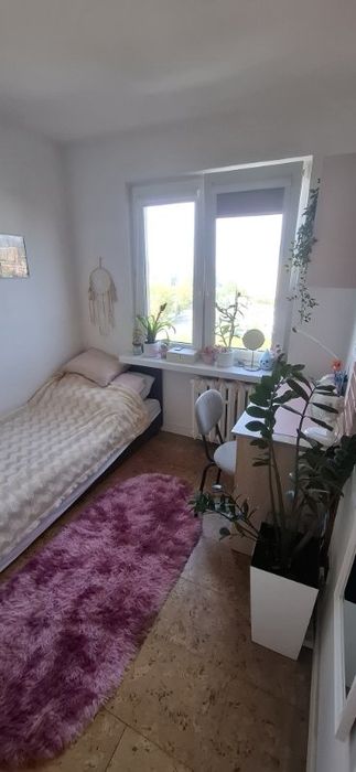 Zdjęcie 3