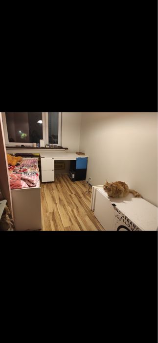 Zdjęcie 8
