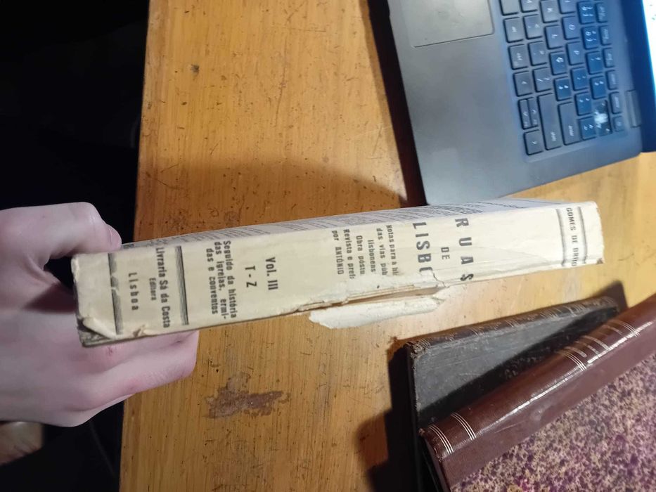 Gomes de Brito, Ruas de Lisboa Vol. 3