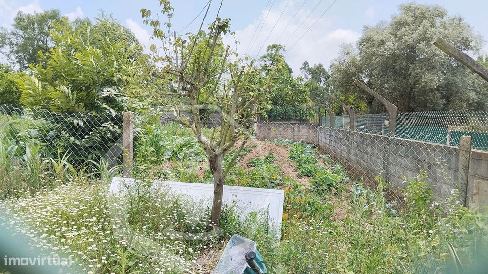 Terreno Urbano - Zona Sossegada !