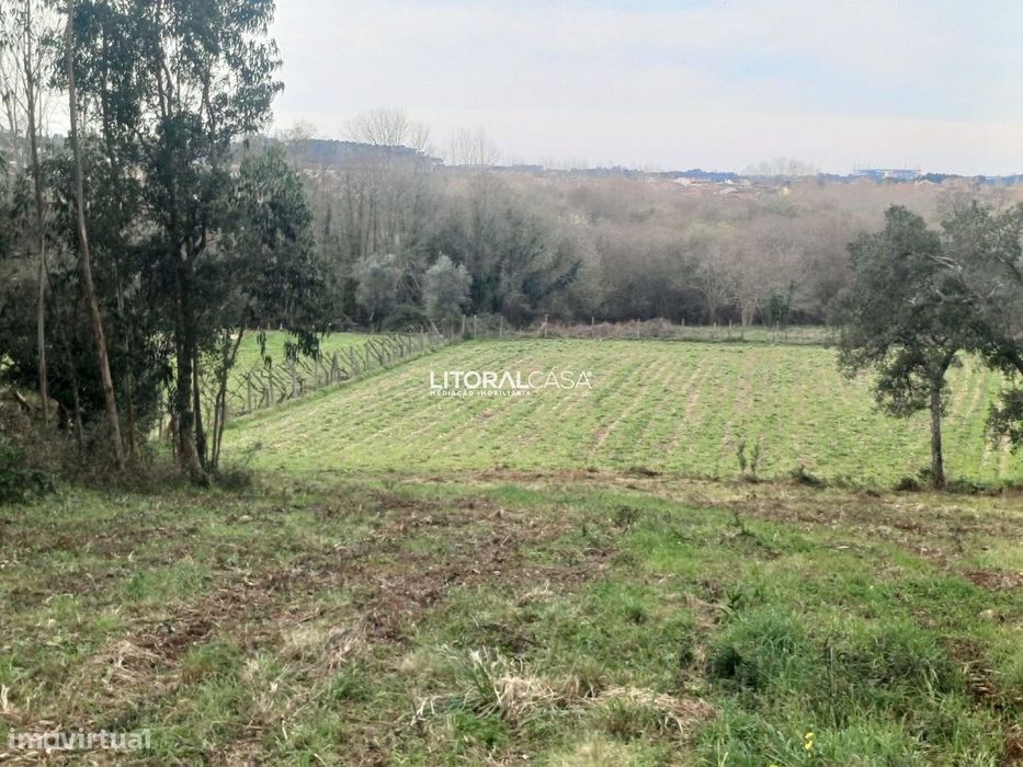 Terreno | Horta - Eixo