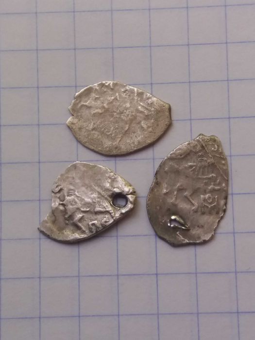 Чешуя проволочная Борис Годунов.