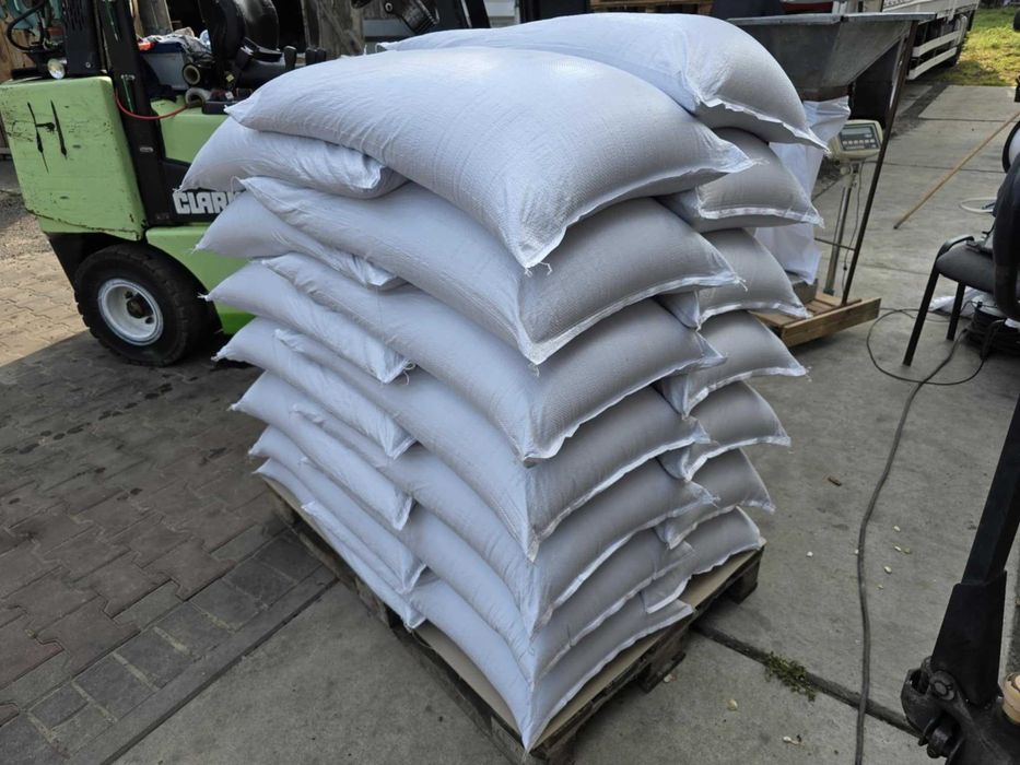 LUCERNA sorgo BÓB bobik łubin peluszka groch koniczyna rzodkiew płużna