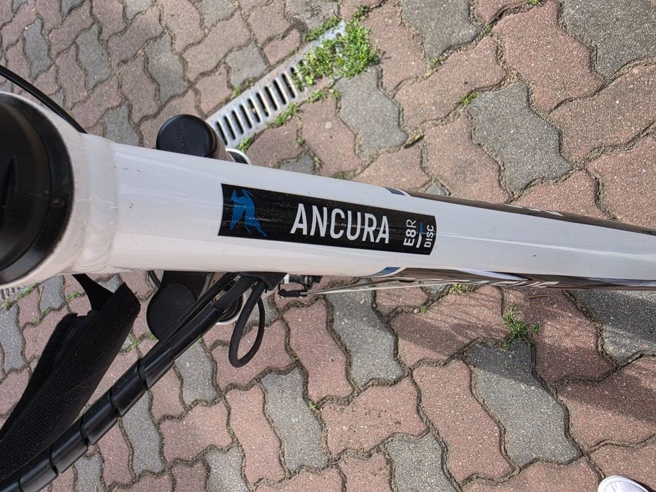 Rower elektryczny Pegasus Ancura E8R Disc.