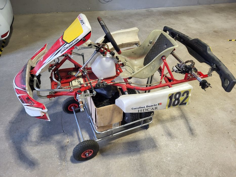 Chassis KART Birel 2014 cadete