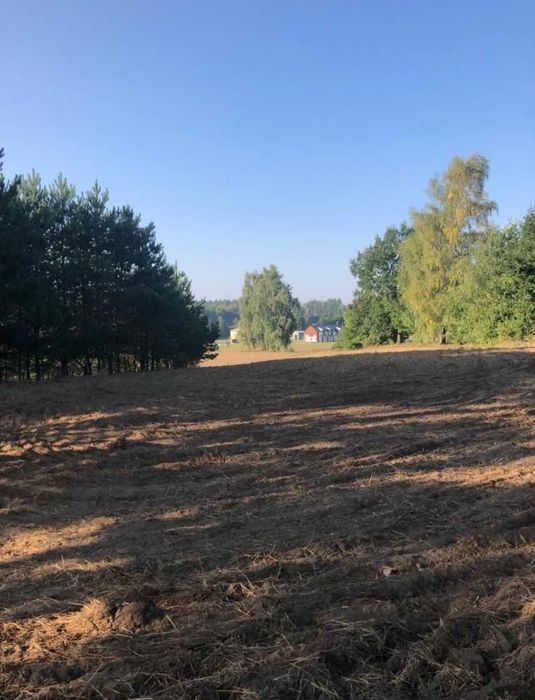 Działka 800 m², Pałubice, Sierakowice, spokojna okolica, blisko lasu