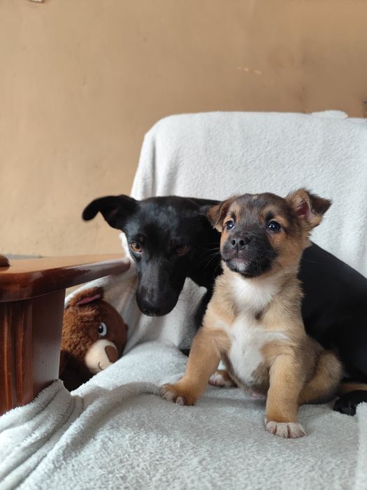 Tylko do właściwego domu