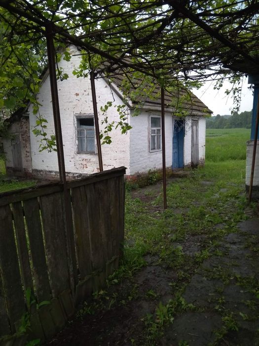 Продаю дім з земельною ділянкою