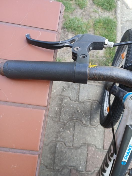 Rower dziecięcy Giant koła 20"