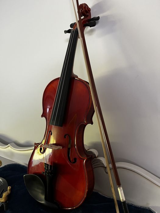 Violin and Shoulder Rest64297675603587123