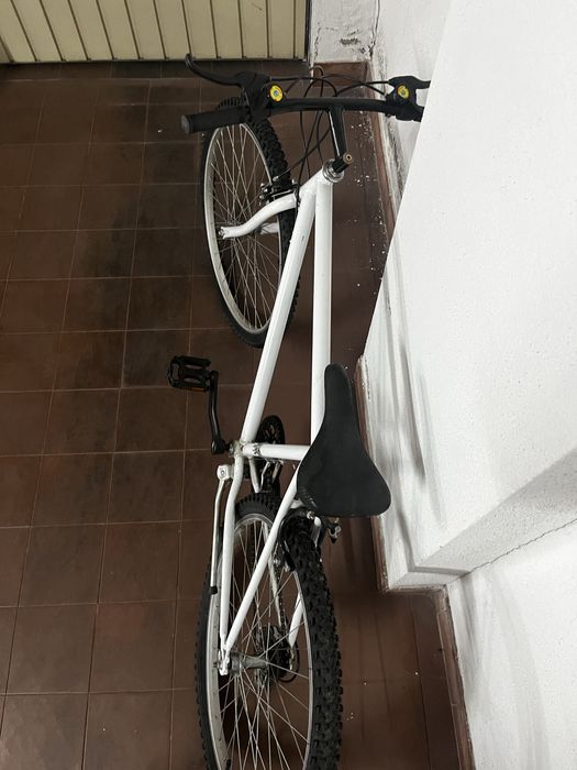 Bicicleta antiga