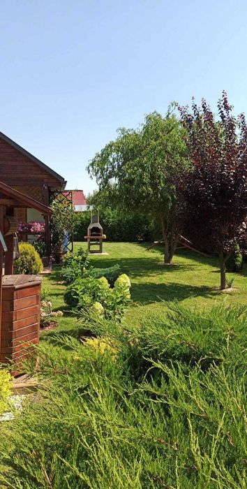 Domek letniskowy 35 m² | Działka 430 m² | ROD Ostrowiec Św. | Taras  | Ogród - Widok 4