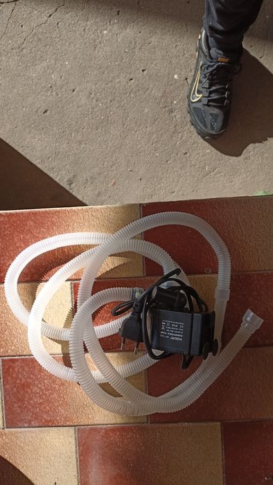 Aquário completo 30l