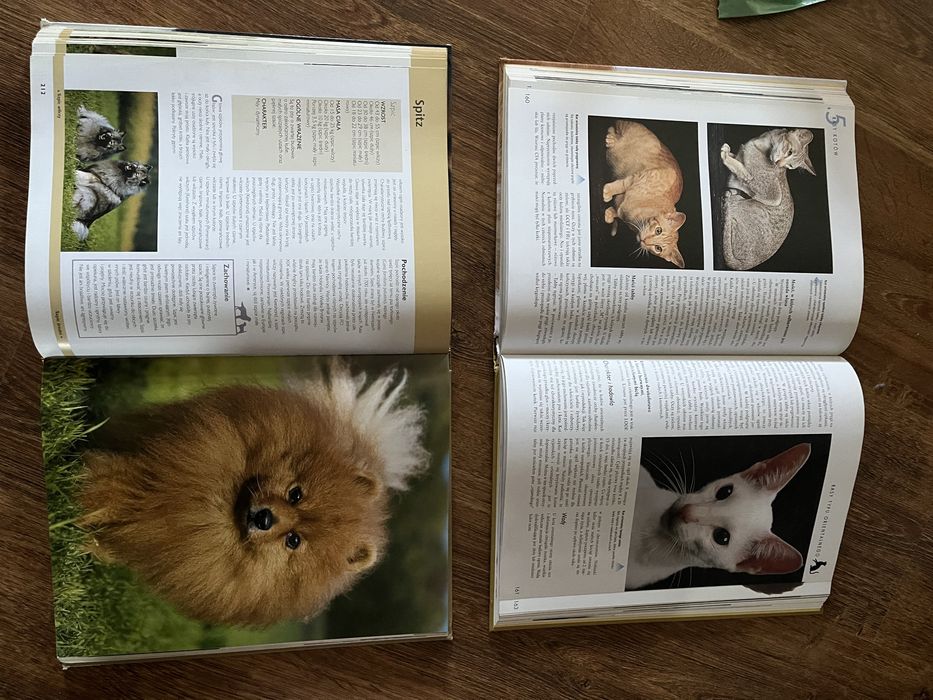 książka rasy psów i rasy kotów Larousse