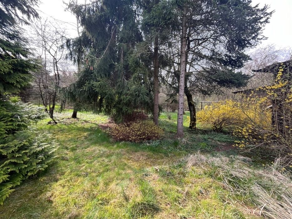 Słoneczne mieszkanie w centrum Wieliczki 83 m2 z ogrodem, tarasem i piwnicami 100 m2