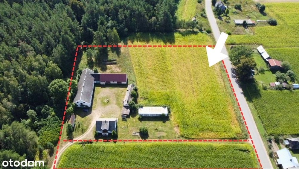 Siedlisko Na Podlasiu | 1,28 Ha| Dom + Zabudowania | Las Obok | M.huta