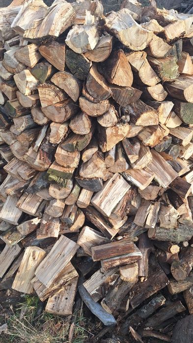 Drzewo dębowe, dąb, pocięty, suchy,sezonowane 4 lata,gotowy do palenia