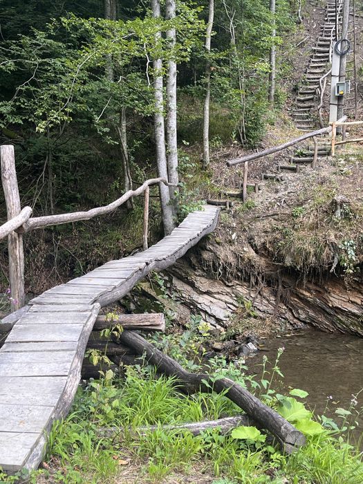 Котедж серед лісу  в Карпатах.  Риболовля. Чан.Сауна. Без сусідів.