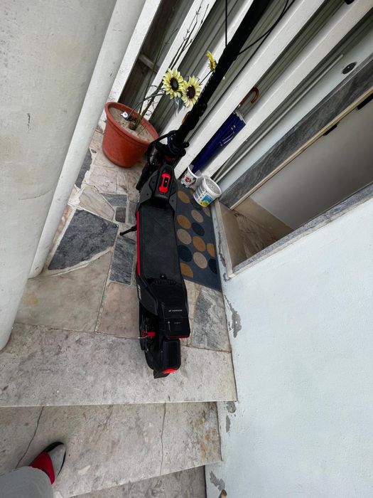 Trotinete como nova